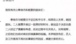 娱乐吃瓜酱遗憾,揭秘娱乐圈背后的心酸故事