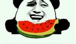 吃瓜群众百科知识,揭秘娱乐圈幕后真相与趣味故事