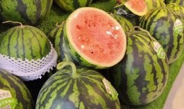 吃瓜网每日大赛 反差吃瓜爆,揭秘娱乐圈的“双重面孔”