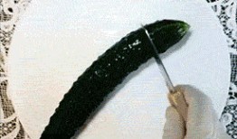 吃瓜表情包 gif 搞笑